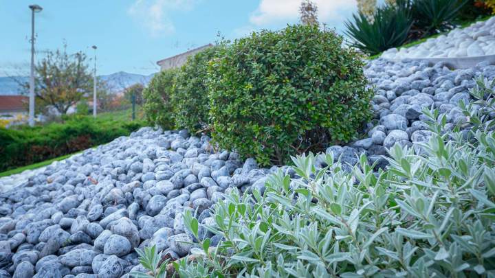 Professionnel de l’entretien d'espace vert Clermont-Ferrand
