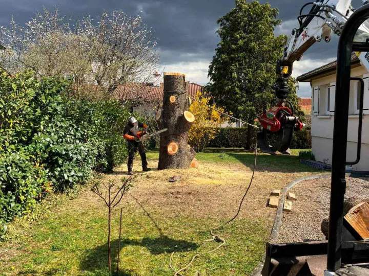 Abattage d'arbres, Gerzat