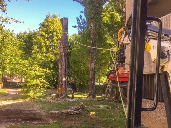 Travaux d'élagage Clermont-Ferrand